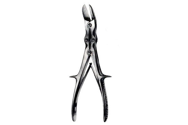 Cutter Bone Double Action Liston Angled 9.5inch Long